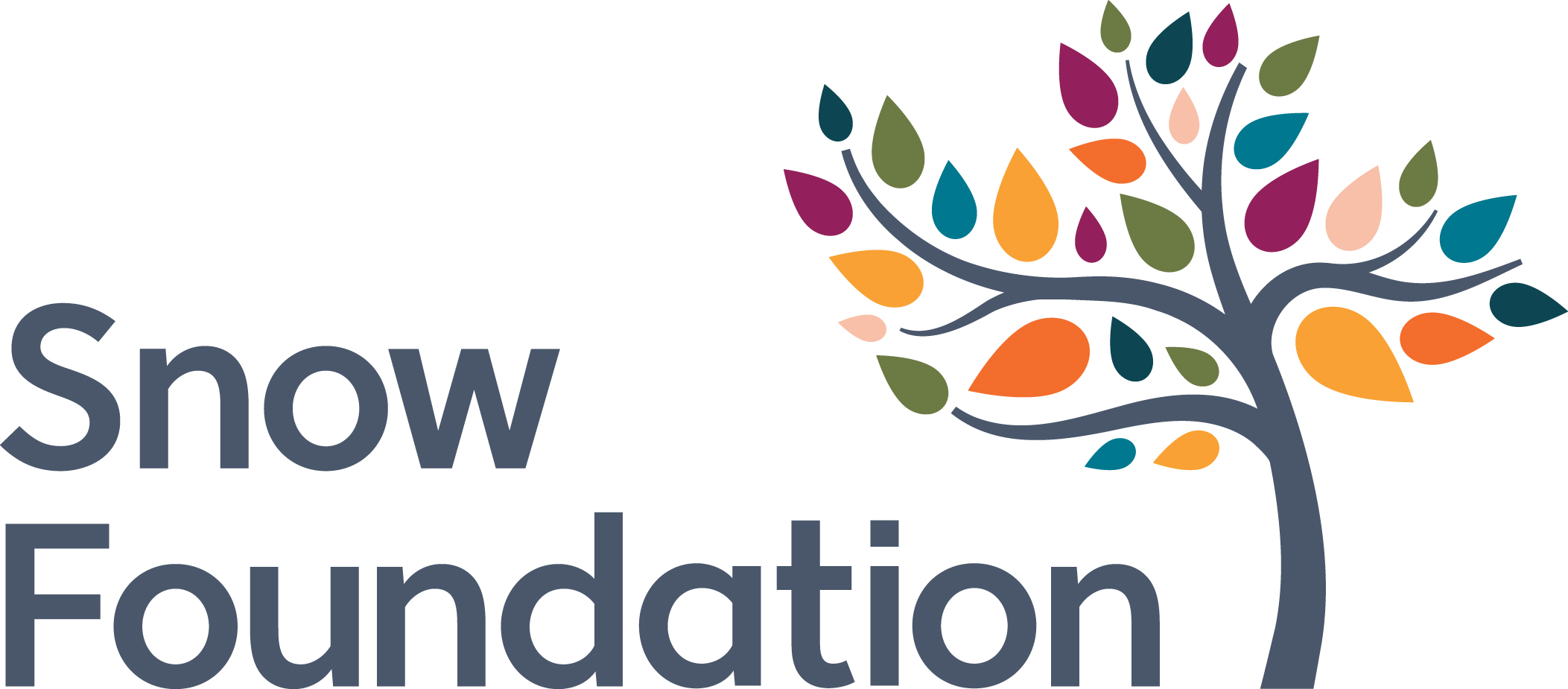 Snow Foundation Logo